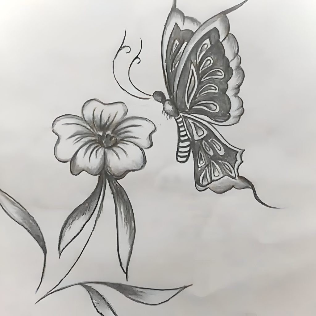 Easy Butterfly with Flower Drawing in 8 steps