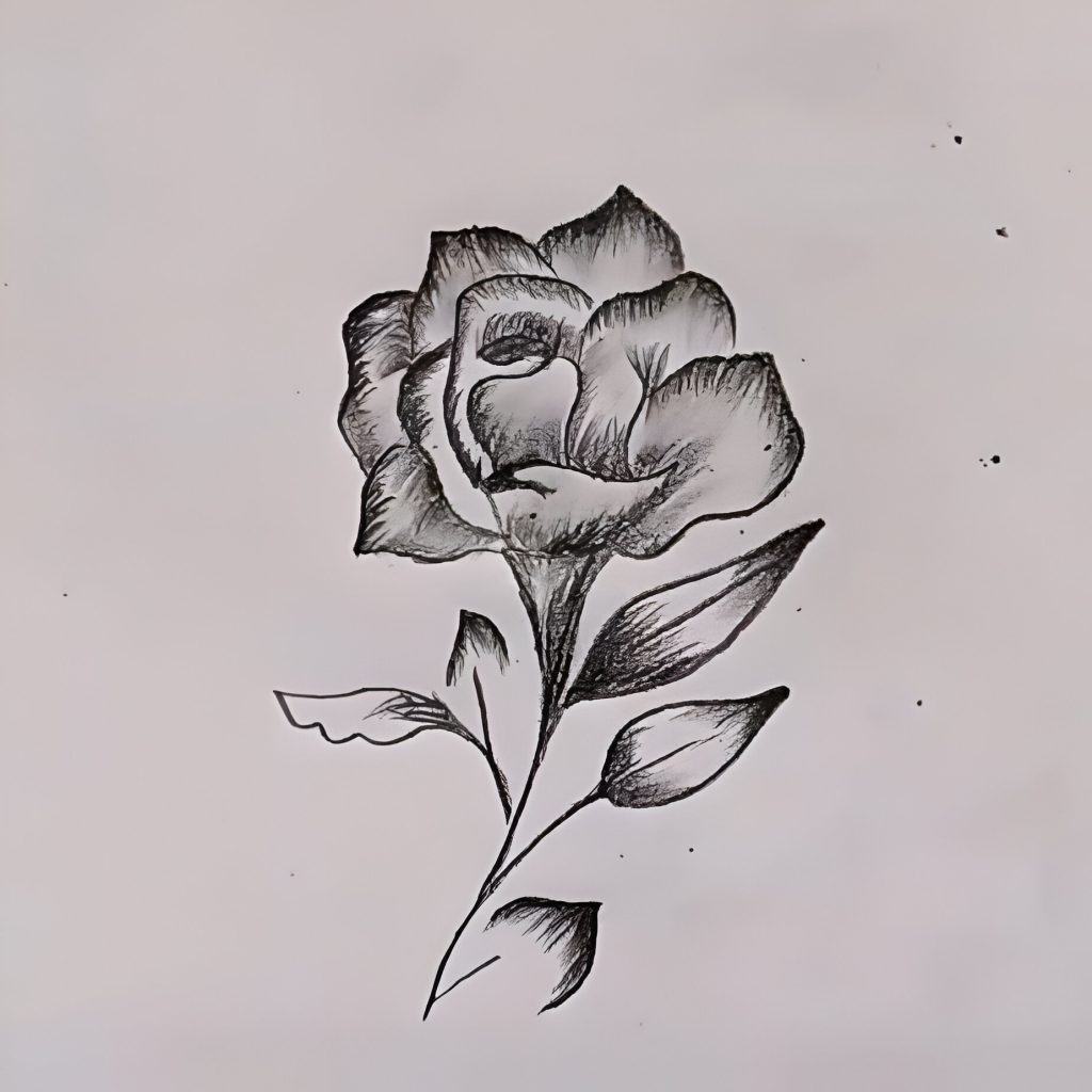 Easy Rose Flower Drawing step by step