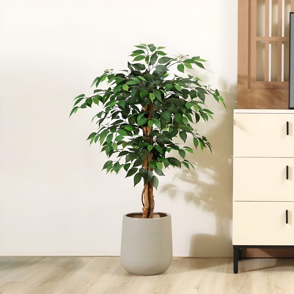 Artificial Ficus Tree