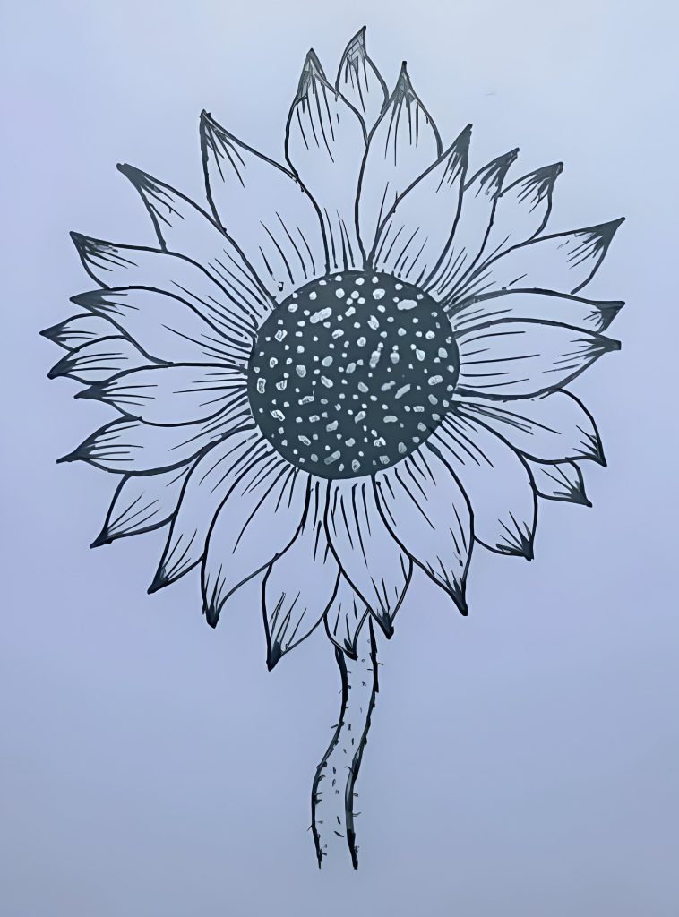 How to draw a sun flower step by step